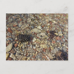 Carte Postale Cailloux dans la photographie de nature de Taylor