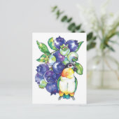 Carte Postale Caique à tête noire avec bleuet (Debout devant)