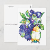 Carte Postale Caique à tête noire avec bleuet (Devant / Derrière)