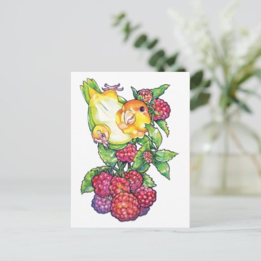 Carte Postale Caique avec framboise (Debout devant)