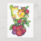 Carte Postale Caique avec framboise (Devant)