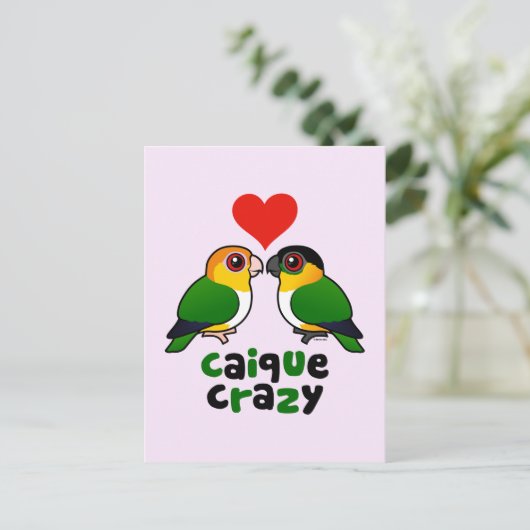 Carte Postale Caique Crazy (Debout devant)