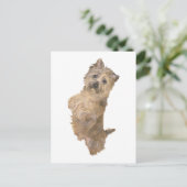Carte Postale Cairn Terrier debout (Debout devant)