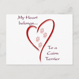 Carte Postale Cairn Terrier Heart Belongs