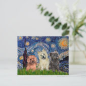 Carte Postale Cairn Terriers (trois) - Nuit étoilée (Debout devant)