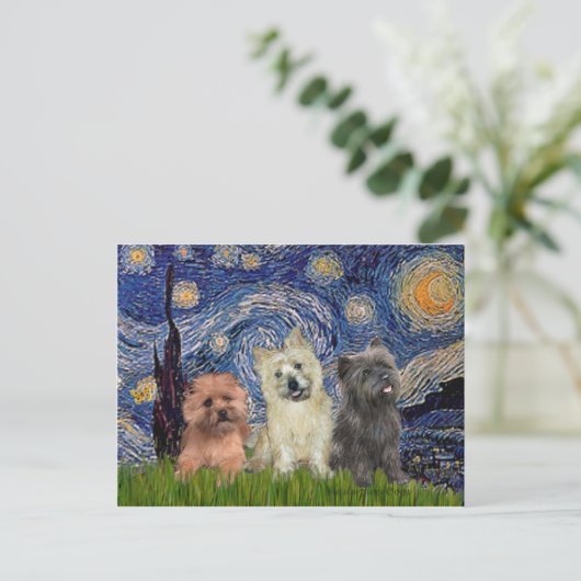 Carte Postale Cairn Terriers (trois) - Nuit étoilée (Debout devant)