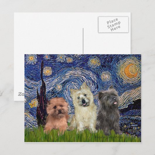 Carte Postale Cairn Terriers (trois) - Nuit étoilée (Devant / Derrière)