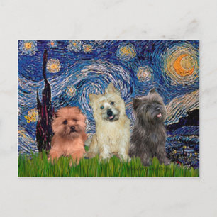 Carte Postale Cairn Terriers (trois) - Nuit étoilée