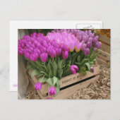 Carte Postale caisse en bois avec tulipe violette (Devant / Derrière)