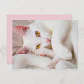 carte postale caisson (Devant / Derrière)