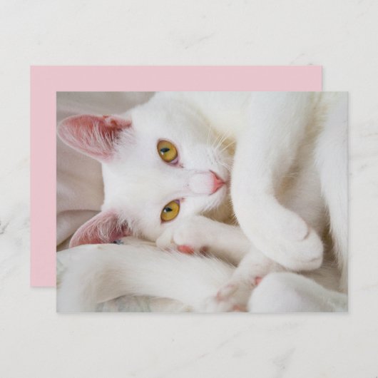 carte postale caisson (Devant / Derrière)