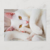 carte postale caisson (Devant)