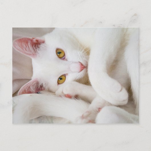 carte postale caisson (Devant)