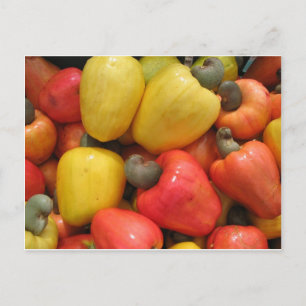 Carte Postale Caju, natureza de mãe