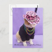 Carte Postale Cajun Bubba Kitty (Devant / Derrière)
