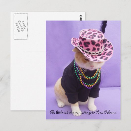 Carte Postale Cajun Bubba Kitty (Devant / Derrière)