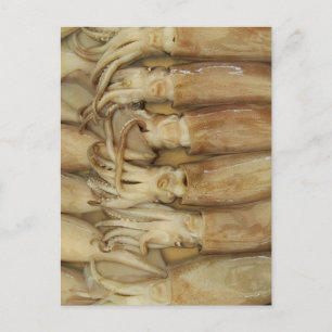 Carte Postale Calamari