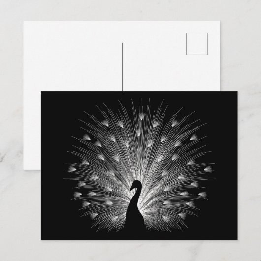 Carte Postale Calcaire blanc (Devant / Derrière)