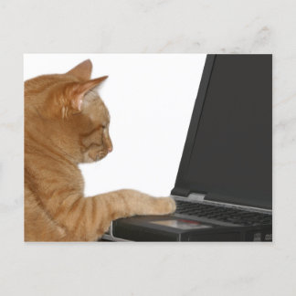 Carte Postale Calcul