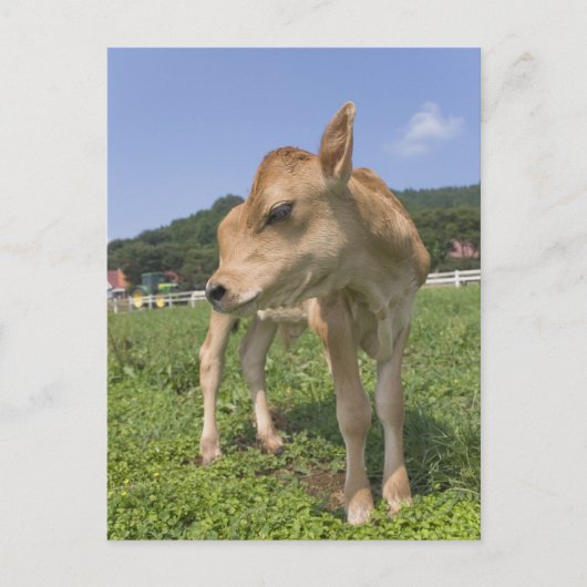 Carte Postale Calcul (Devant)