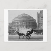 Carte Postale Calèche à Albert Hall Londres 1904, Angleterre (Devant)