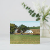 Carte Postale Calèche amish, comté de Holmes, Ohio (Debout devant)
