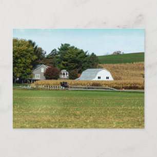 Carte Postale Calèche amish, comté de Holmes, Ohio