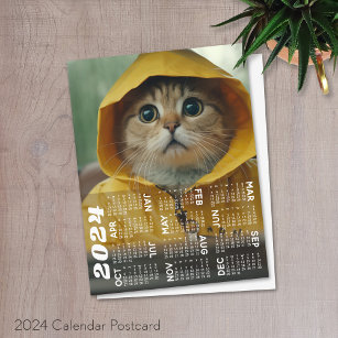 Carte Postale Calendrier 2024 avec chat mignon habillé en jaune