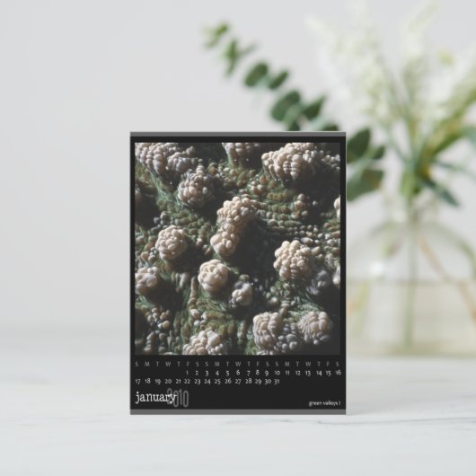 Carte Postale calendrier janvier 2010 (Debout devant)