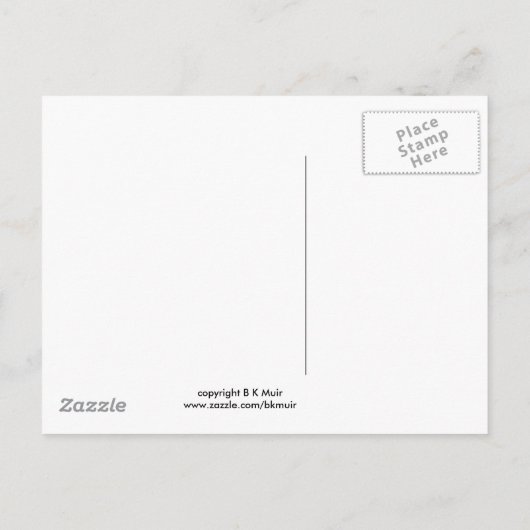 Carte postale - Calendula (Dos)