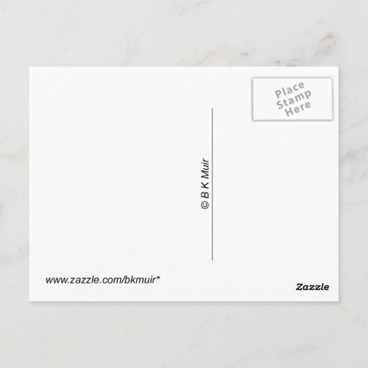 Carte postale - Calendula Bloom (Dos)