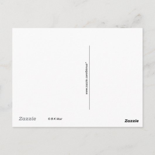 Carte postale - Calendula et Bee (Dos)