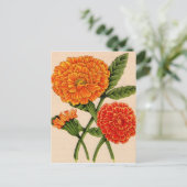 Carte Postale calendulas en orange (Debout devant)