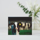 Carte Postale Calf Holstein-Friesian (Debout devant)