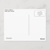 Carte postale Calgary (Dos)