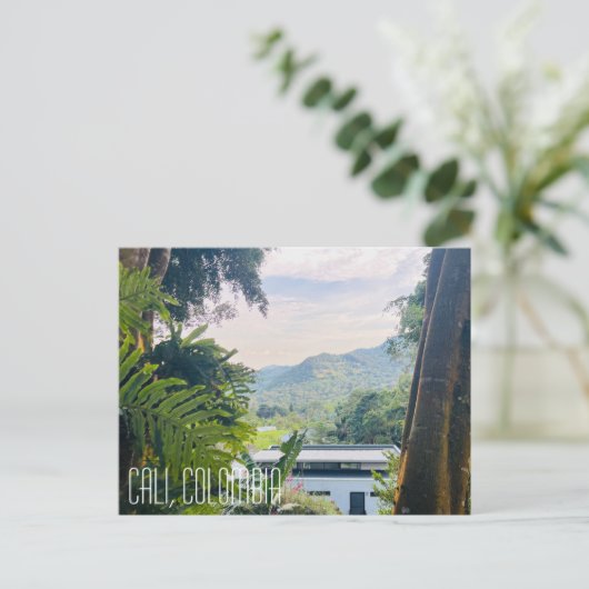 Carte Postale CALI COLOMBIE, jungle (Debout devant)