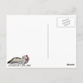 Carte Postale Cali, le Sucre de canne Kitty (Dos)