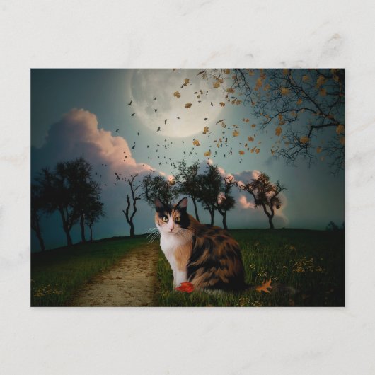 Carte Postale Cali Moon (Devant)