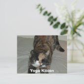Carte Postale Calico (Debout devant)
