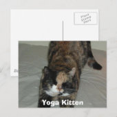 Carte Postale Calico (Devant / Derrière)