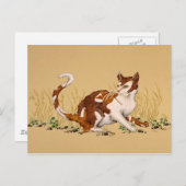 Carte Postale Calico Autum (Devant / Derrière)
