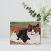 Carte Postale Calico Cat (Debout devant)