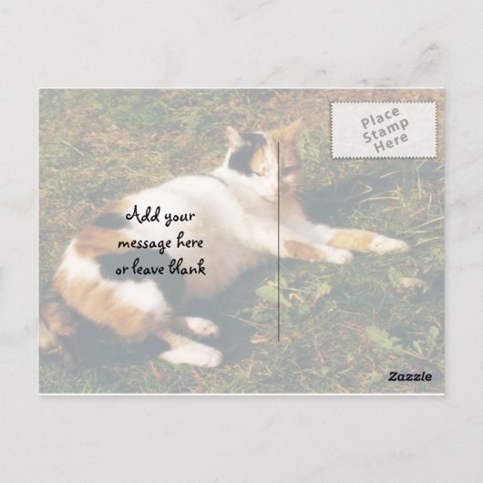 Carte Postale Calico chat allongé sur l'herbe (Dos)