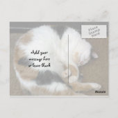 Carte Postale Calico chat courbé sur un tapis de porte (Dos)