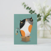 Carte Postale Calico chat dans la boîte (Debout devant)