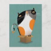 Carte Postale Calico chat dans la boîte (Devant)
