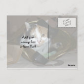Carte Postale Calico chat dans un sac à provisions (Dos)