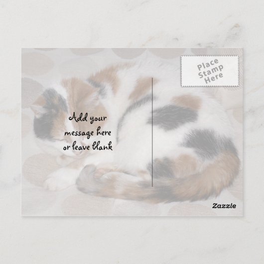 Carte Postale Calico chat enroulé sur le lit (Dos)