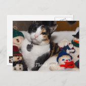 Carte Postale Calico Et Snowmen (Devant / Derrière)