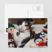 Carte Postale Calico Et Snowmen (Devant / Derrière)